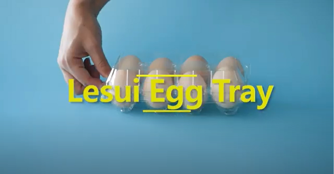 鸡蛋可生物降解托盘