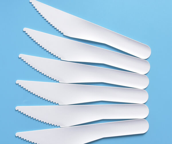 eco friendly disposable cutlery