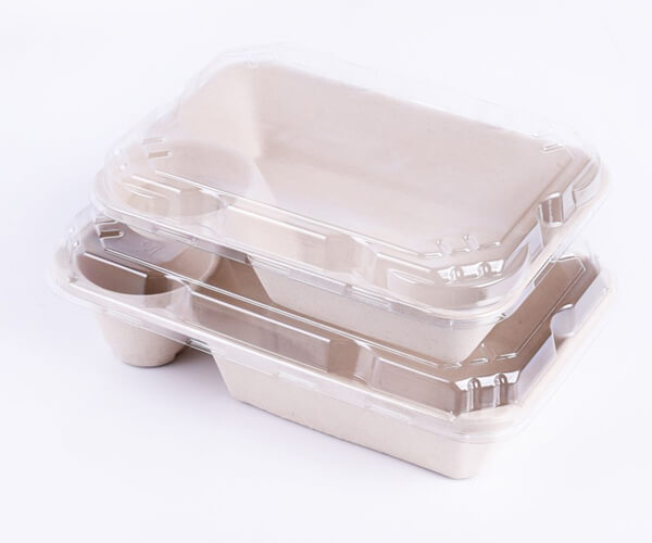 disposable salad boxes