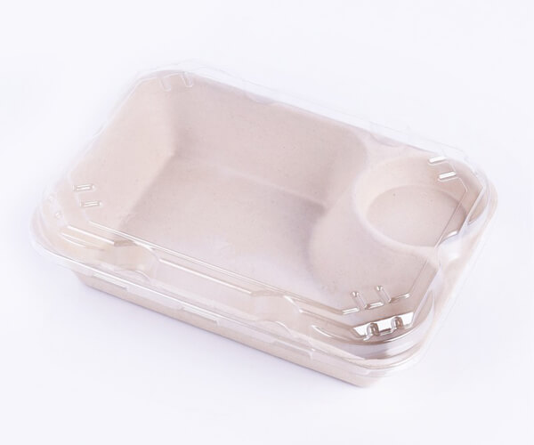 disposable salad container