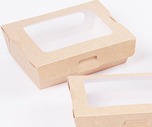 disposable salad containers with lids