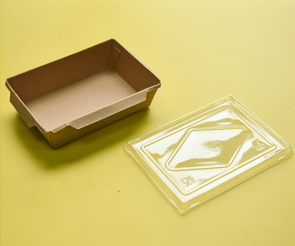 eco friendly food packaging material