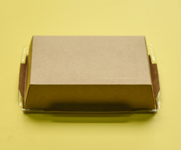 how to make biodegradable food packaging