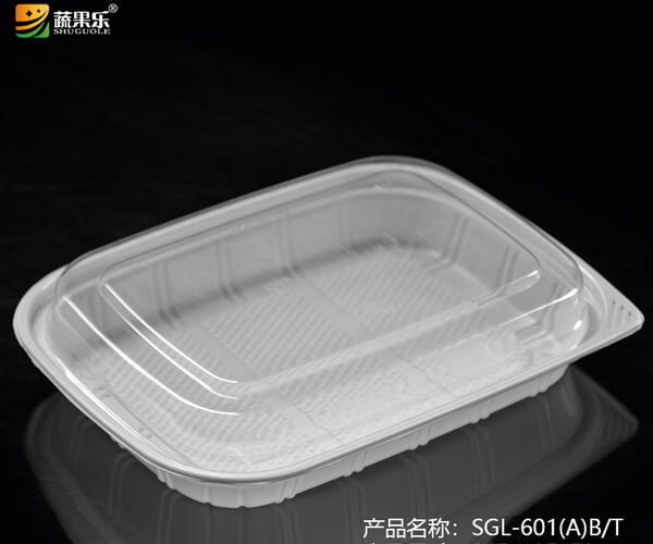 china biodegradable food packaging