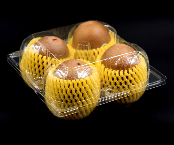 biodegradable food packaging material