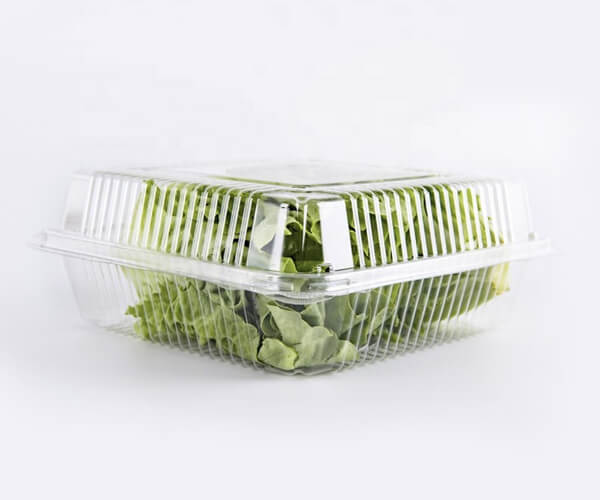 eco friendly food packaging material