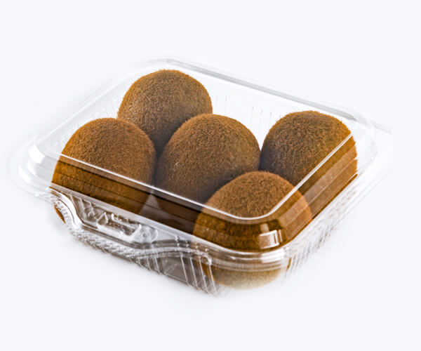 eco friendly food packaging suppliers