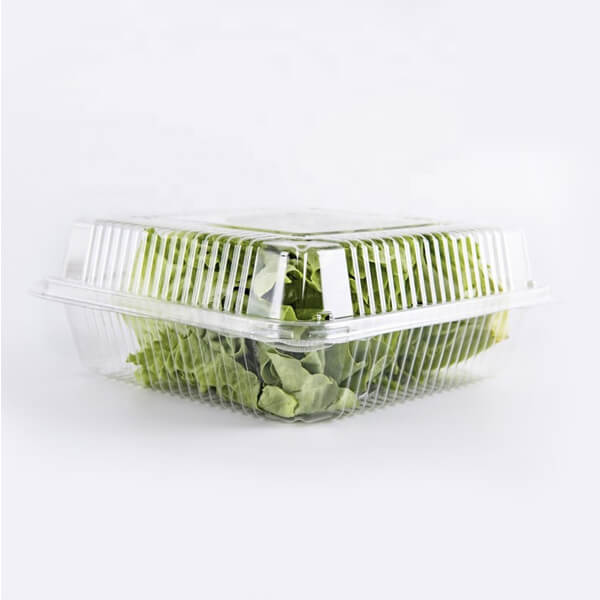外卖塑料盒防水吸塑蔬菜透明盒容器