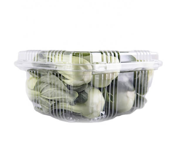 china biodegradable food packaging