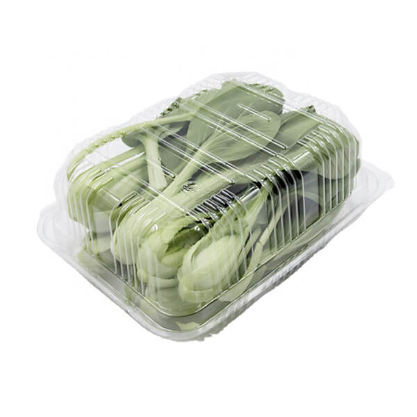 一次性蔬菜塑料容器