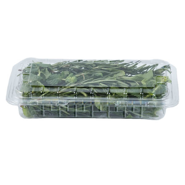 食品级水果蔬菜储存容器-不含Bpa的塑料食品储物盒