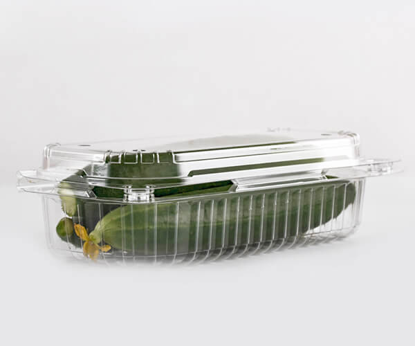 biodegradable food packaging material