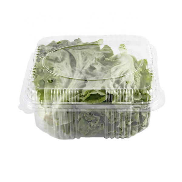 最畅销的保鲜冰箱蔬菜矩形塑料食品容器