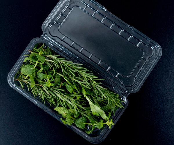 eco friendly food packaging suppliers