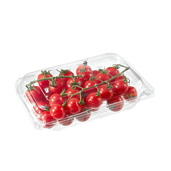 定制一次性水果蔬菜透明一次性PET塑料食品包装盒