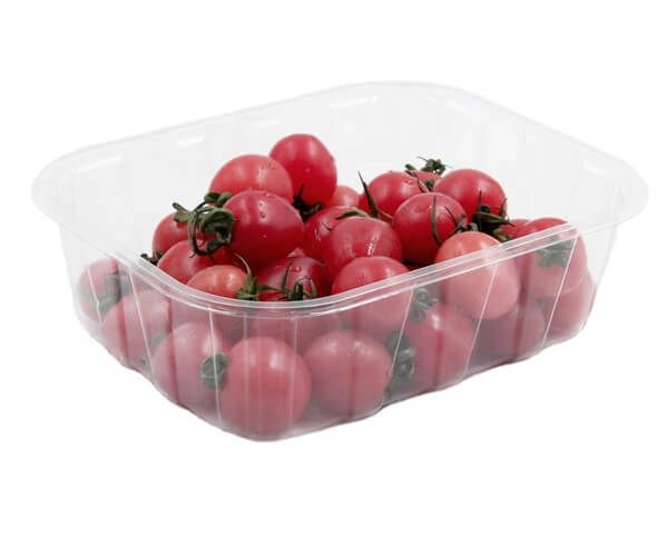5 compartment disposable plates