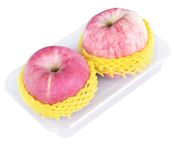 compartment trays disposable