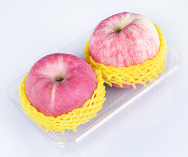 disposable compartment trays
