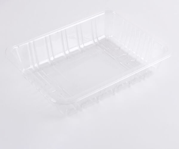 disposable divided food trays