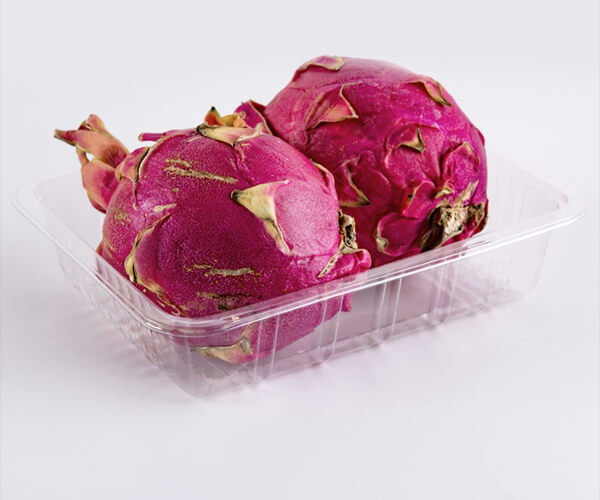 disposable food packaging tray