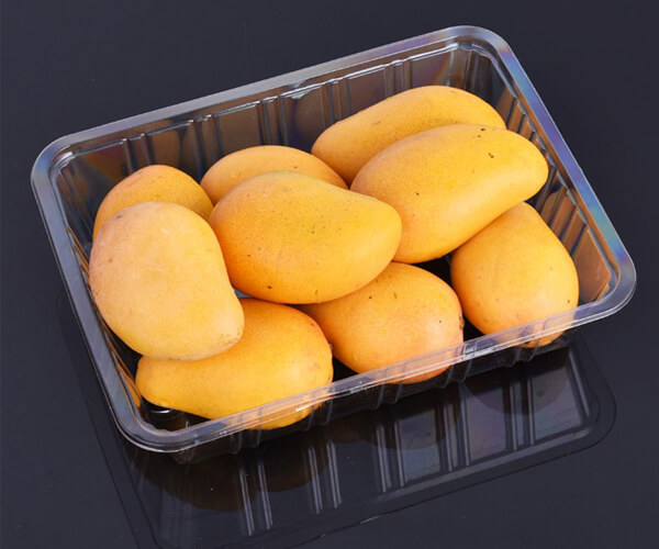 disposable food serving trays