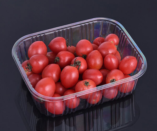 disposable round tray