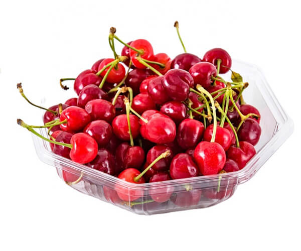 disposable serving platters and trays