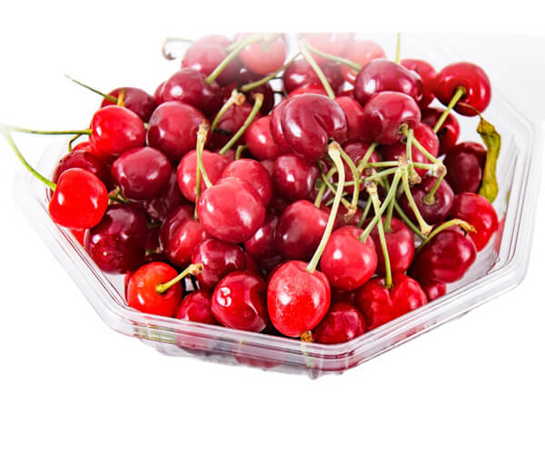 disposable serving platters with lids