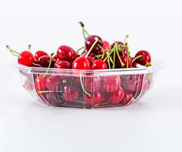 disposable serving platters
