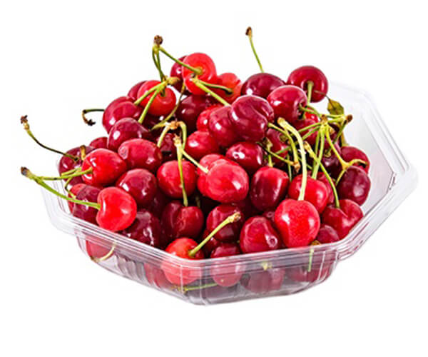 disposable serving trays