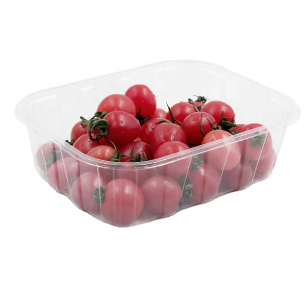高品质服务容器可重复使用的水果蔬菜包装餐饮托盘