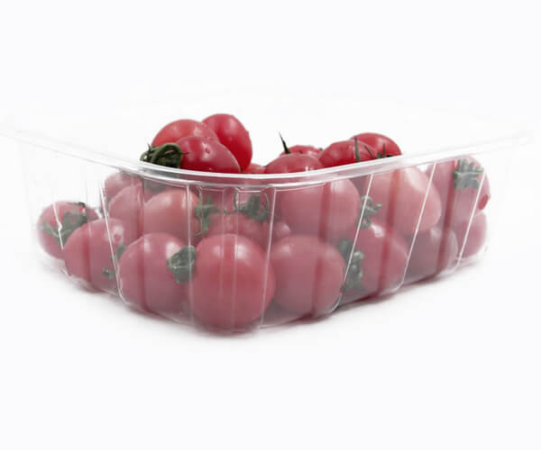 eco friendly disposable trays