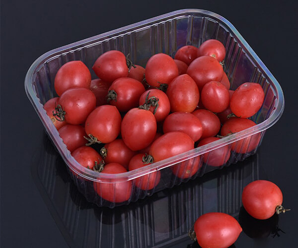 platter plates disposable