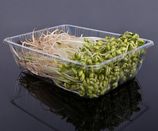 5 compartment disposable plates