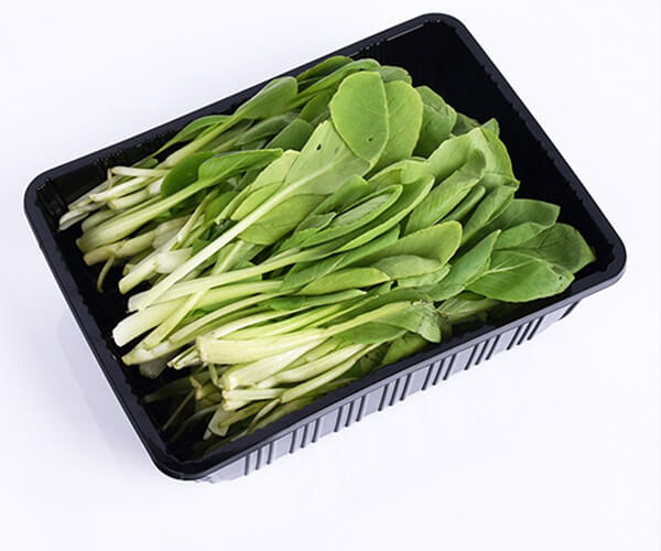 disposable round tray