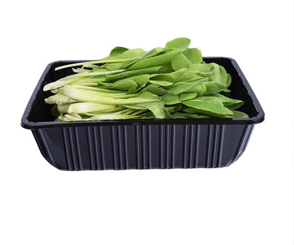 platter plates disposable