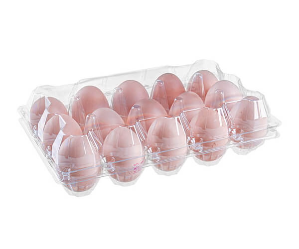 compartment trays disposable