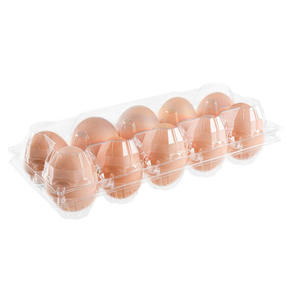 10孔透明塑料蛋托，中等尺寸透明塑料蛋盒