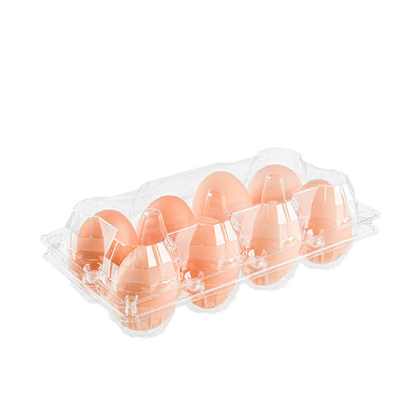 8孔翻盖包装30鸡蛋托盘塑料托盘/盒供应商