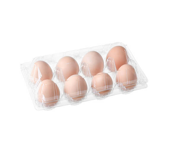 platter plates disposable