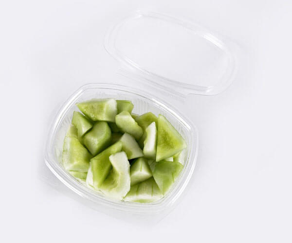 china biodegradable food packaging