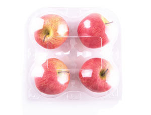 biodegradable food packaging manufacturers