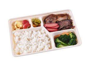 disposable catering trays