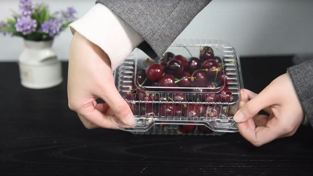 关于一次性水果容器的视频显示