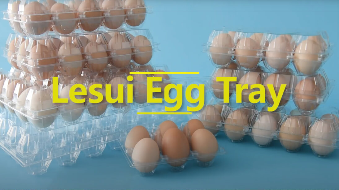 关于一次性鸡蛋托盘的视频显示