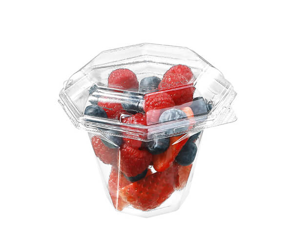 biodegradable food packaging manufacturers