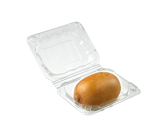 china biodegradable food packaging