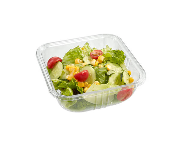 eco friendly food packaging containers