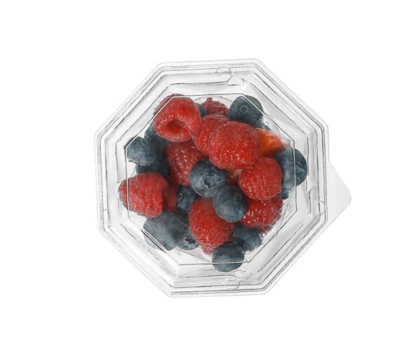 eco friendly food packaging supplier