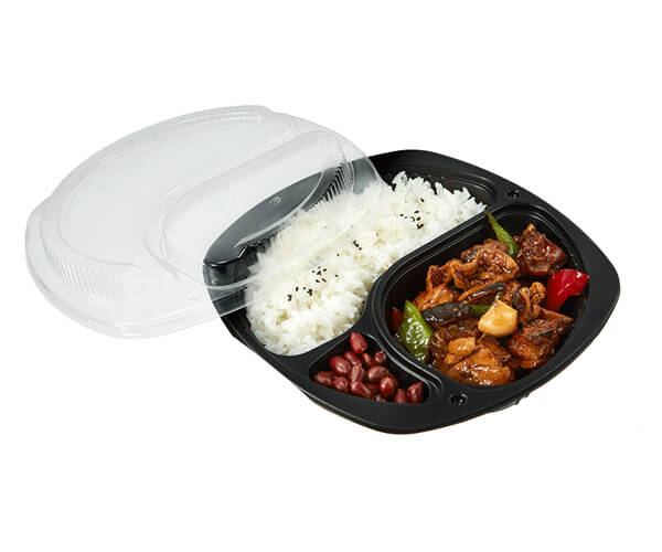 plastic disposable container